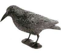 Effaroucheur de pigeons 'Corbeau