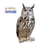 Effaroucheur Oiseaux, Anti Corbeau Anti-Pigeon, Effaroucheur Pigeons Balcon, Anti Corbeau Bande Anti Pigeon pour Balcon Patio, Décorations De Jardin