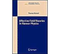 Effective Field Theories In Flavour Physics