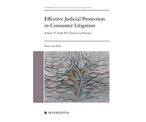 Effective Judicial Protection In Consumer Litigation
