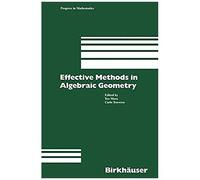 Effective Methods In Algebraic Geometry