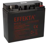 Effekta BT 12-18 Batterie AGM Vrla 12V 18Ah pour Ups Alimentation de Secours