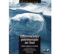 Effervescence patrimoniale au sud Pascale De Robert (Auteur), Dominique Juhe-Beaulaton (Auteur), Bernard Roussel (Auteur), Marie-Christine Cormier-Salem (Auteur)