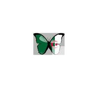 Effet Papillon Algérien - 10x7cm - Sticker/Autocollant