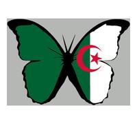 Effet Papillon Algérien - 15x10.5cm - Sticker/Autocollant