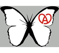 Effet papillon Alsace blanc (10x7cm) - Autocollant(sticker)