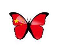 Effet Papillon Chinois - 10x7cm - Sticker/Autocollant