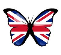 Effet Papillon Grande Bretagne - 15x10,5cm - Sticker/Autocollant