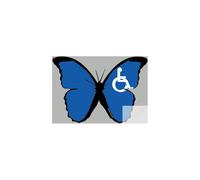 Effet Papillon Handicap Moteur - 15x10,5cm - Sticker/Autocollant