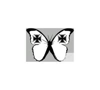 Effet Papillon Malte (15x10.5cm) - Sticker/Autocollant