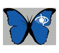 Effet Papillon Malvoyant - 15x10,5cm - Sticker/Autocollant