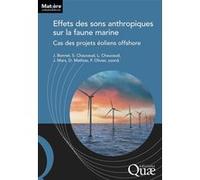 Effets des sons anthropiques sur la faune marine Julien Bonnel (Auteur), Frédéric Olivier (Auteur), Delphine Mathias (Auteur), Jérôme Mars (Auteur), Laurent Chauvaud (Auteur)