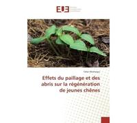 Effets du paillage et des abris sur la régénération de jeunes chênes - Taher Mechergui - Universitaires Europeennes - broché - Essai