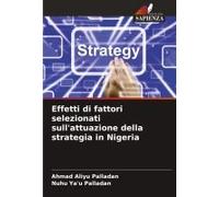 Effetti Di Fattori Selezionati Sull'attuazione Della Strategia In Nigeria