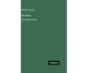 Effi Briest: in Großdruckschrift
