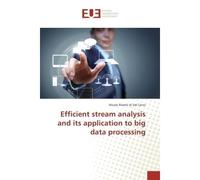 Efficient stream analysis and its application to big data processing - Nicolo Cervo - Universitaires Europeennes - broché - Etude