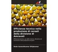 Efficienza Tecnica Nella Produzione Di Cereali Della Divisione Di Amravati
