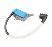 EffiFish Bobine d'allumage haute tension pour modèles ECHO, avec module + filtre à huile + réservoir, système d'allumage en métal 9 x 8 x 7 cm