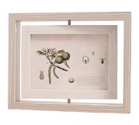 EffiFish Cadre photo rotatif réversible de 15,2 cm en bois double face pour décoration de maison ou de bureau, gris clair (B)