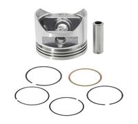 EffiFish GX35 Kit piston 39 mm pour débroussailleuse 4 temps 35 CC - Compatible avec GX35T GX35NT, remplace 13101-Z0Z-010 13101-Z0Z-000