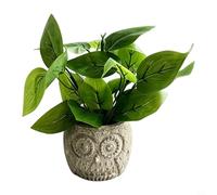 EffiFish Lierre artificiel dans un pot de chouette fantaisiste - 16,5 cm - Pour décoration de maison, bureau, bureau - Faible entretien - Vert