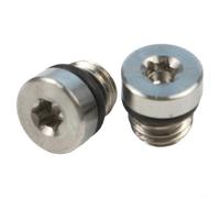 EffiFish Lot de 2 vis de purge Torx en acier inoxydable compatibles avec les étriers de frein et réservoirs SRAM à code guide SRAM - Lot de 2 vis de purge argentées
