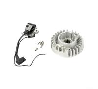 EffiFish Module Bobine Allumage Tronçonneuse Haute Performance Durabilité | Démarrage immédiat, , moteur performant, fluide, pour idéal MS380