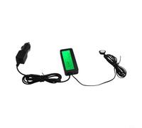 EffiFish Thermomètre numérique LCD pour voiture, jauge de température intérieure et extérieure avec écran bleu (vert)