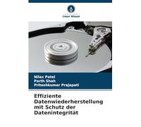 Effiziente Datenwiederherstellung mit Schutz der Datenintegrität