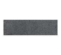 Efia Tapis Salonloewe Mini Anthracite Petit Paillasson Lavable, Gris, 30 x 100 cm