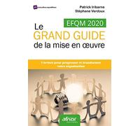 EFQM 2020 - Le GRAND GUIDE de la mise en oeuvre: 7 leviers pour progresser et transformer votre organisation
