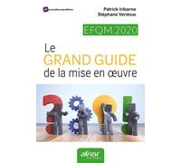 EFQM 2020 - Le GRAND GUIDE de la mise en oeuvre 7 leviers pour progresser et transformer votre organisation - Patrick Iribarne - Afnor - broché - Etude