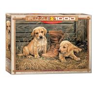 Eurographics 60000795 Vieux quelque chose de nouveau puzzle, différents - version anglaise