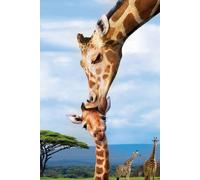 (EG82510294) - Eurographics Puzzle 250 Pc - Giraffes