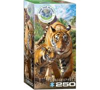(EG82515559) - Eurographics Puzzle 250 Pc - Tigers