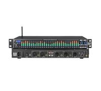 Égaliseur numérique professionnel 31 bandes, analyseur de spectre audio, égaliseurs stéréo, réglage des graves, médiums et aigus, contrôle synchrone à deux canaux, for karaoké à domicile.