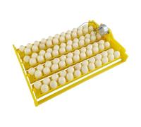 Egg Rails - Incubateur numérique entièrement automatique de 88 œufs