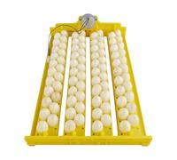 Egg Rails - Incubateur numérique entièrement automatique de 88 œufs