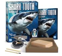 EggBox Kit de fouille et de Collecte de Dents de Requin, 1 échantillon de Dents de Requin et 8 répliques de Dents de Requin pour Les garçons et Les Filles de 6, 7, 8, 9, 10 et 11 Ans