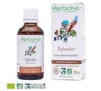 Eglantier Macérât De Jeune Pousse Bio - Immunité Et Respiration 50 Ml - Herbiolys