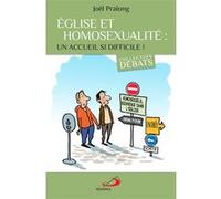 Église et homosexualité : un accueil si difficile! Joël Pralong (Auteur)