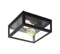 Eglo Lampe de plafond extérieure ALAMONTE 1, 2 flamme, plafonnier en acier galvanisé, couleur : noir, verre : transparent, douille : E27, IP44