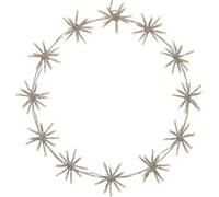 Eglo LED décoration de fenêtre suspendue Flower Ring, déco lumineuse, lampe décorative, acier blanc, plastique blanc chaud, IP44