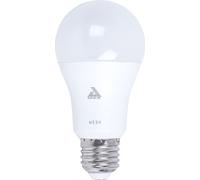 Eglo LED Smart Ampoule A60 9W E27 mat 806lm blanc chaud 3000K Dimmable App Bluetooth Mesh