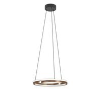 Eglo LED suspension Mezzomonte, lampe à pendant dimmable avec télécommande, luminaire plafond suspendue, salle manger métal noir, bronze, blanc, blanc chaud-froid, 4700 lumens