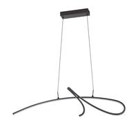 Eglo Luminaire suspension LED Cardoncito, lampe de plafond suspendue pour salle à manger, plafonnier avec interrupteur DIP, métal noir, blanc chaud froid, 2400 lumens