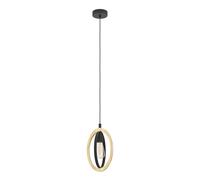 EGLO Basildon éclairage en suspension Support de fixation E27