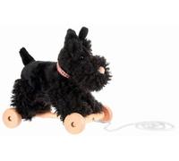 Walter le chien à tirer