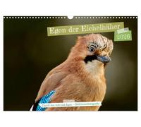 Egon le geai - A travers l'année avec Egon - par Ostfriesenfotografie, Version française (Calendrier mural 2026 DIN A3 portrait), Calendrier CALVENDO mensuel