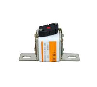 EGPPMEIY Fusible rapide 106RSM 500V400A, 106RSM 500V500A, 106RSM 500V630A, 106RSM 500V700A Tube carré Connexion boulon de type L Fusible basse tension (106RSM 500V500A)